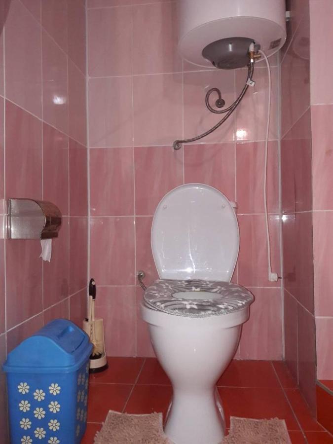 Kyzart Guesthouse Bagysh Esterno foto
